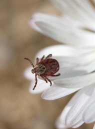 фото